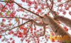 chiến lược đón đầu hạ tầng liên vùng