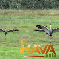 TƯ DUY LỘI NGƯỢC DÒNG