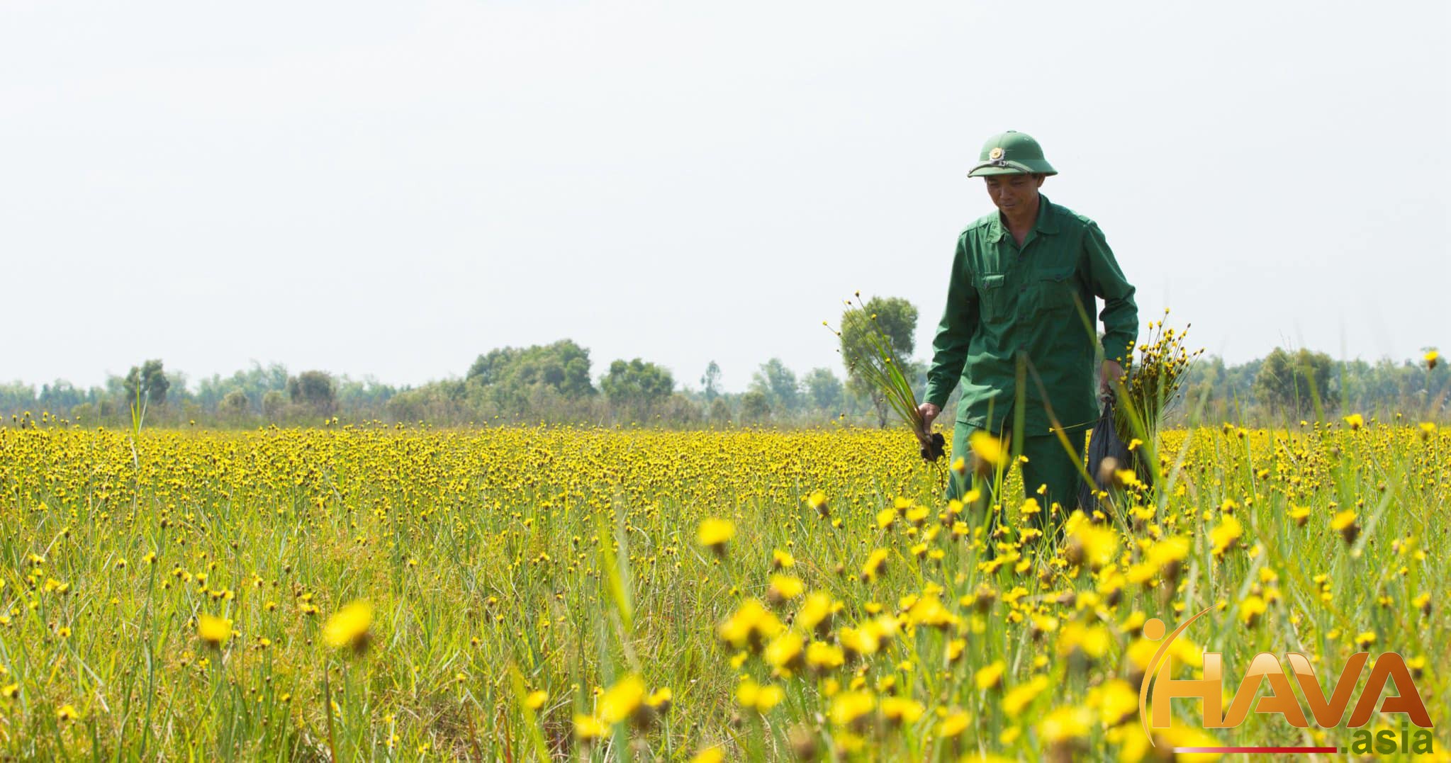 Pháp lý và Quy hoạch (Yếu tố Sống còn)