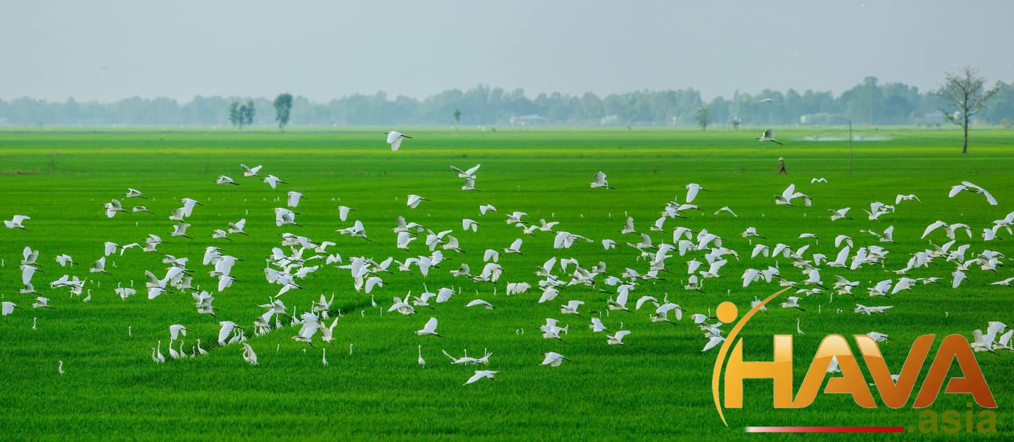 nguyên tắc cốt lõi giúp bạn khai phá tiềm năng