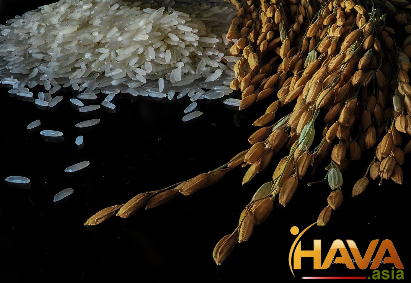 CẤU TRÚC VỐN TỐI ƯU 2026