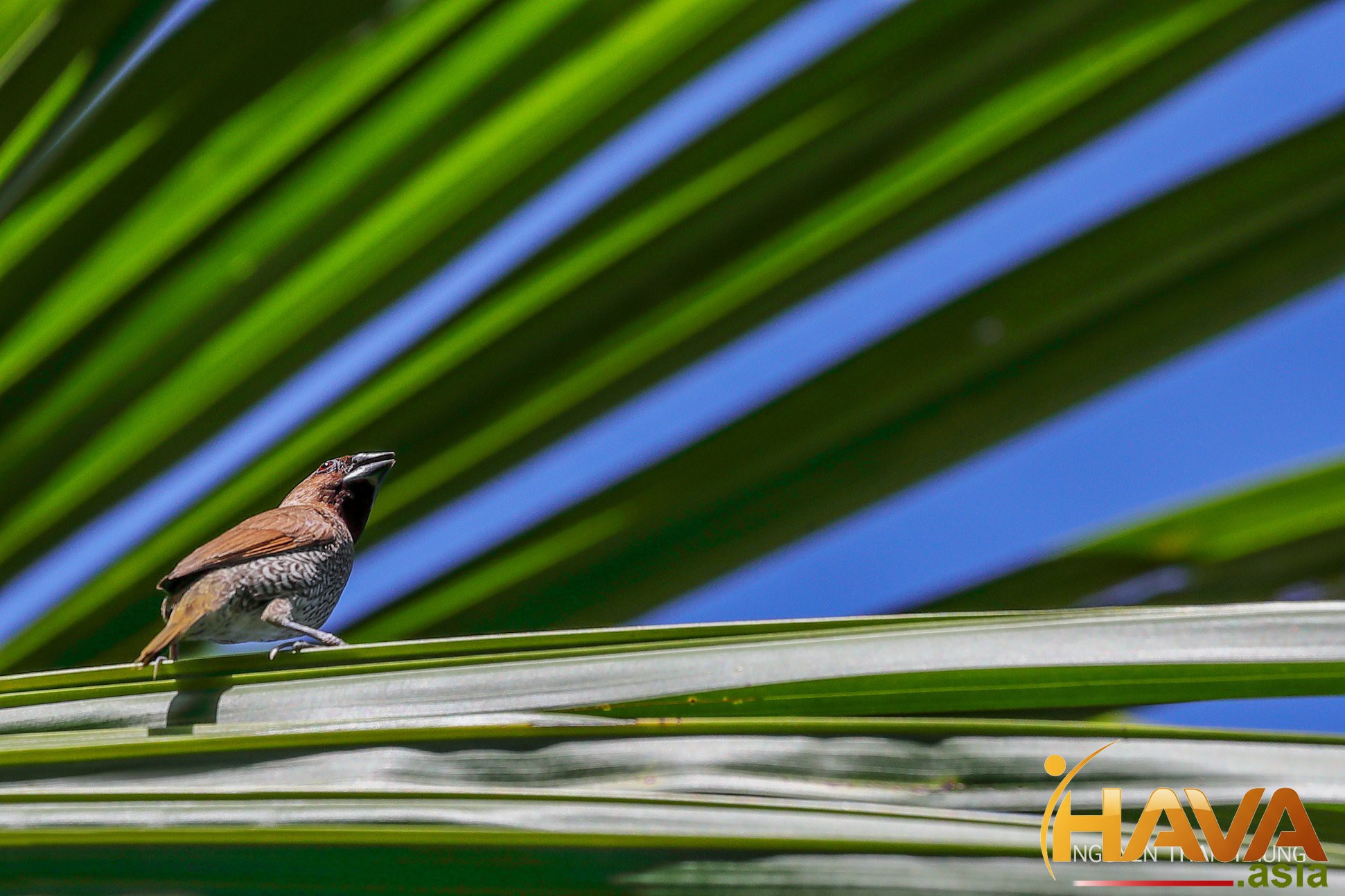 Điều gì đang thực sự chiếm lấy tâm trí của anh/chị lúc này