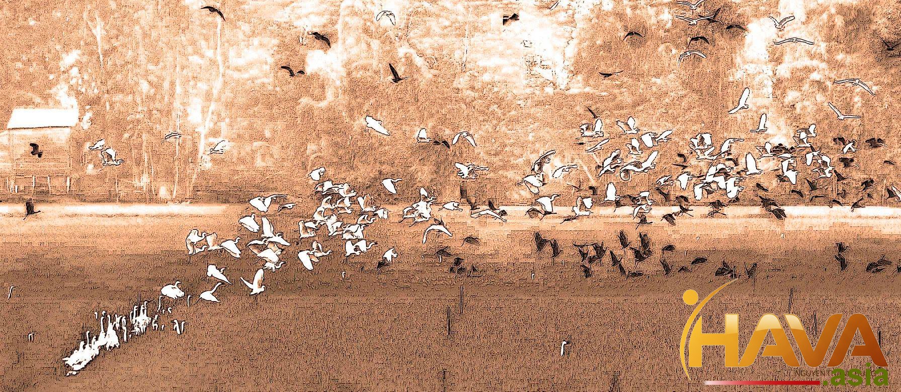 tìm thấy sự cân bằng để duy trì năng lượng đỉnh cao trong dài hạn