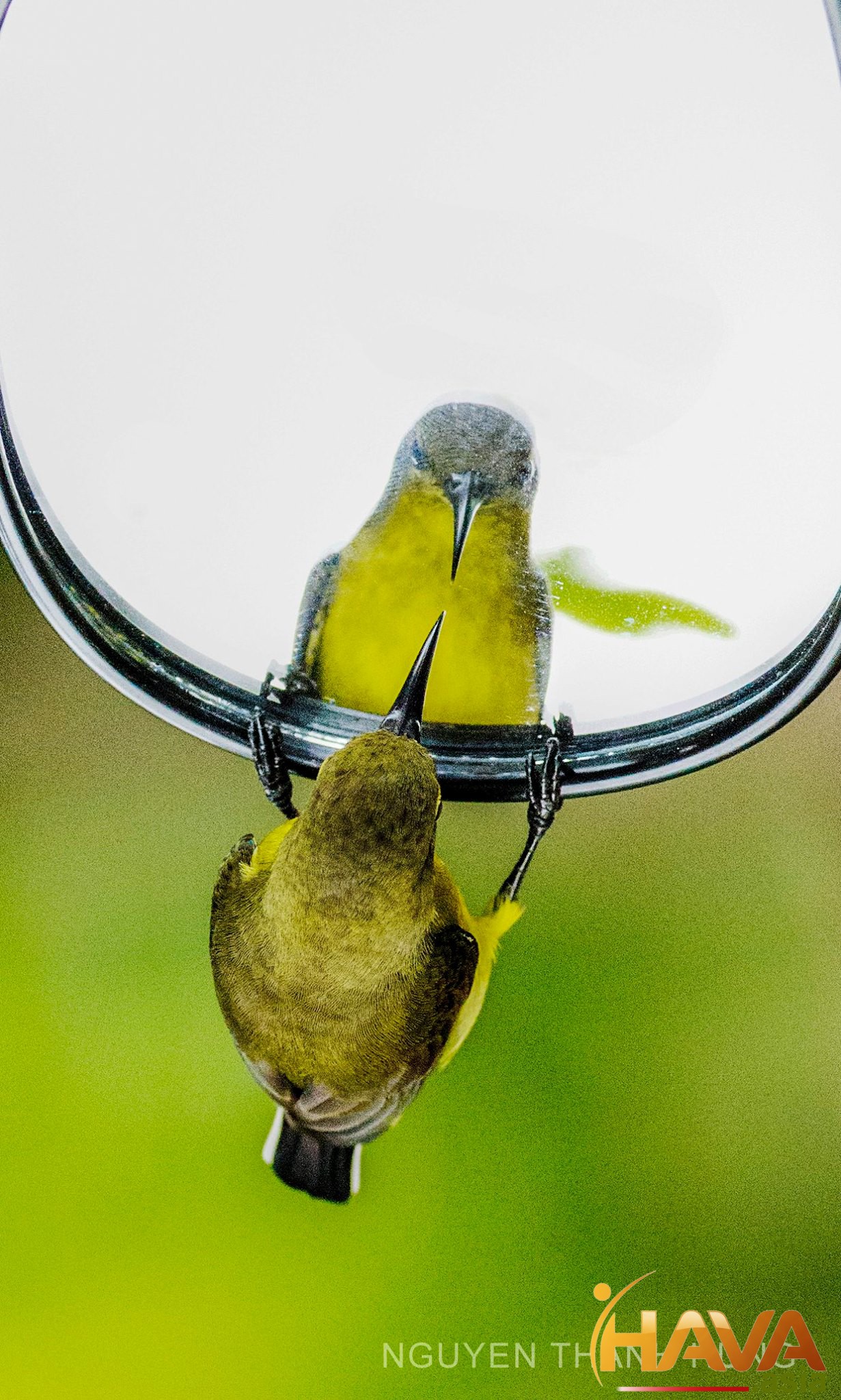 hành trình dài hạn nhằm cải thiện cuộc sống