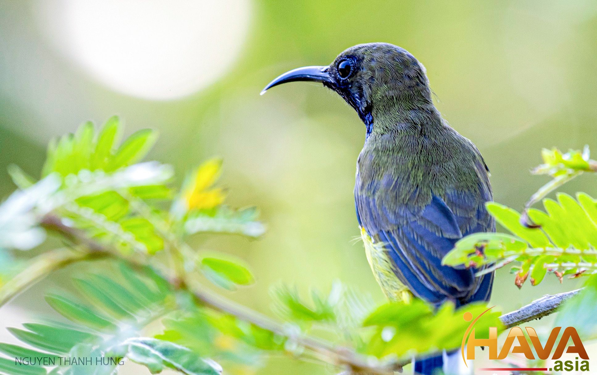 Khai phá nguồn lực nội tại