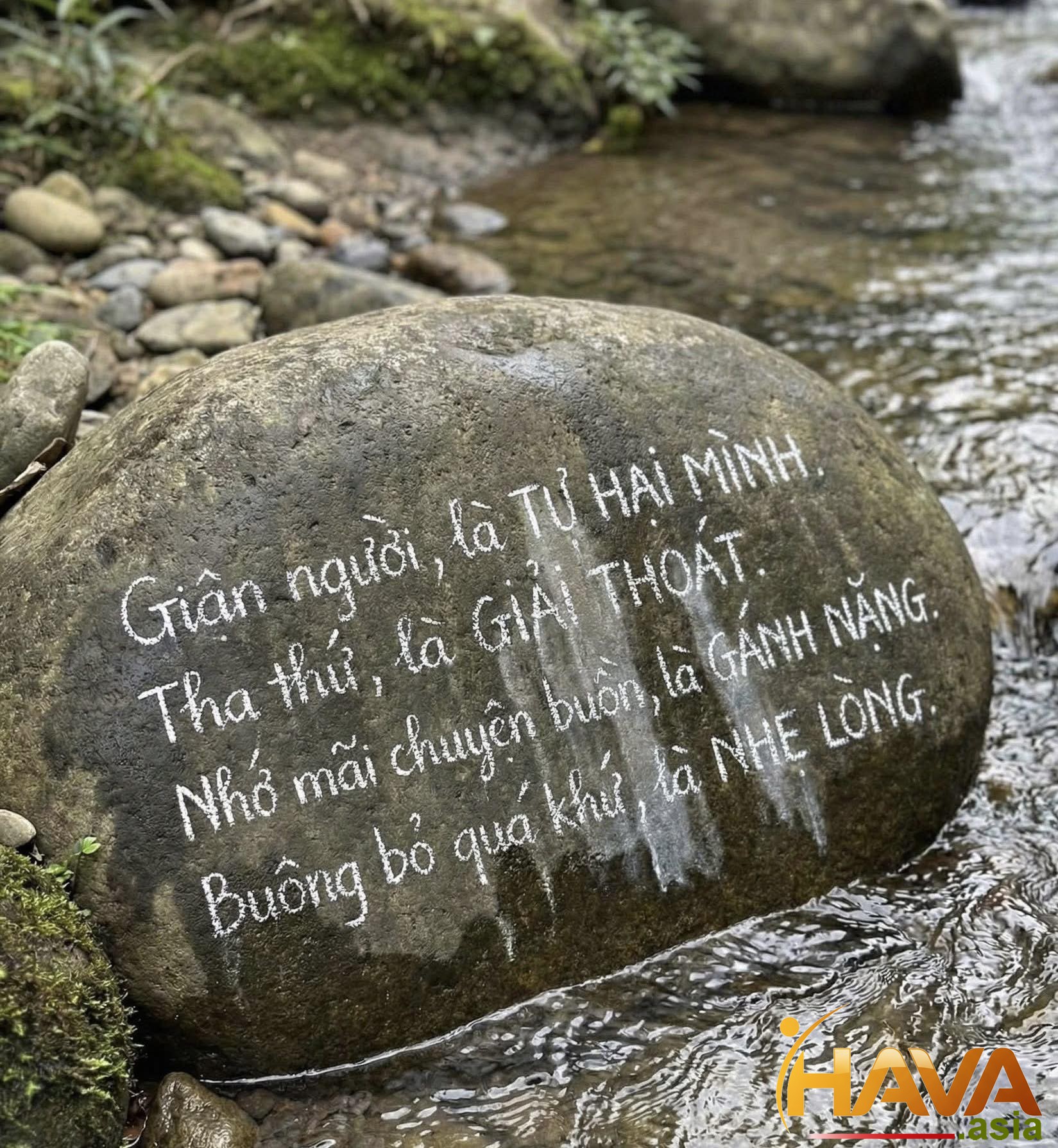 Tự vẽ đường và cứ đi sẽ thành đường