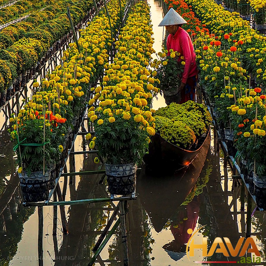 Hạnh phúc là khi được trở về