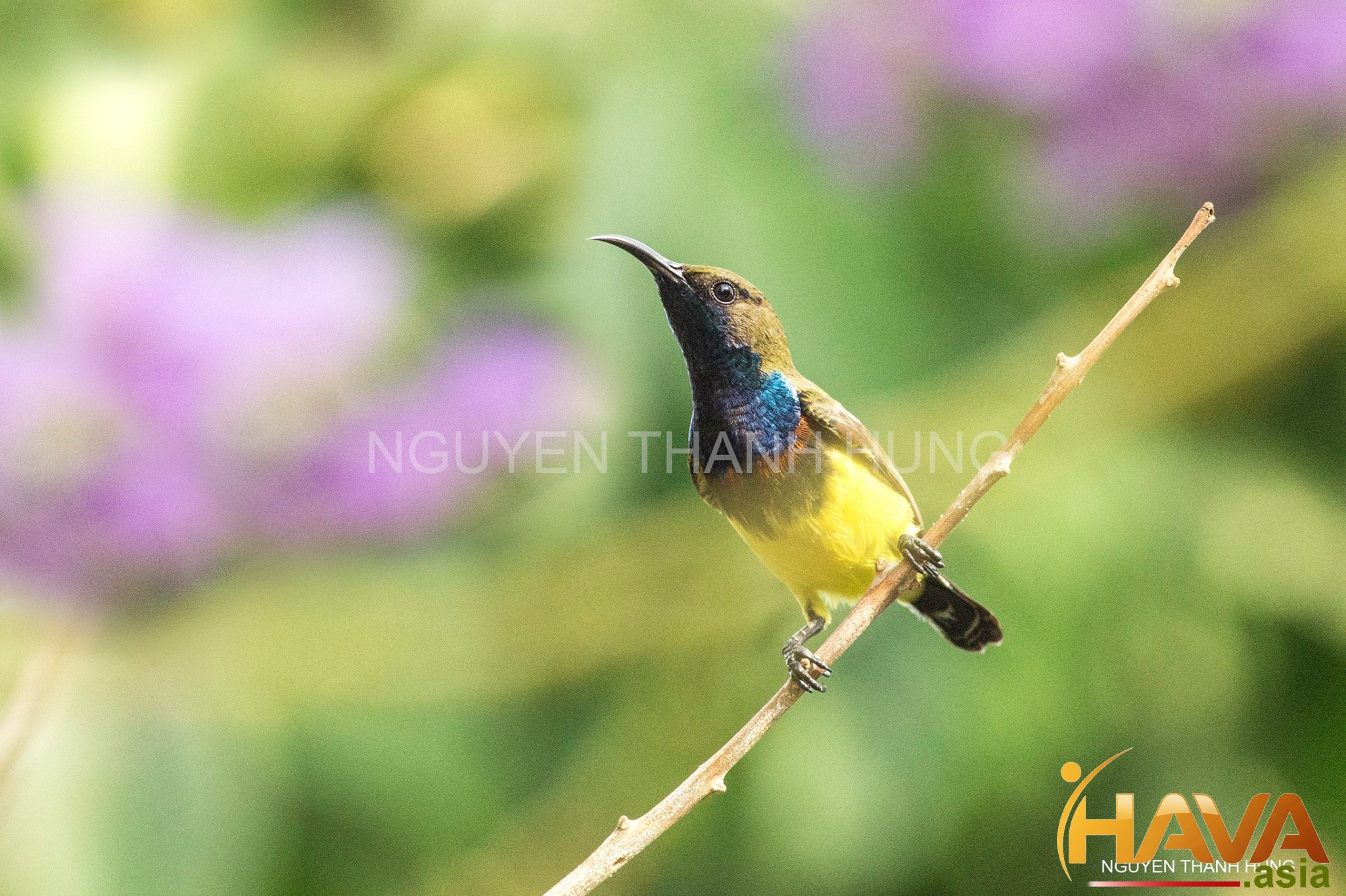 một ván cờ tài chính thông minh