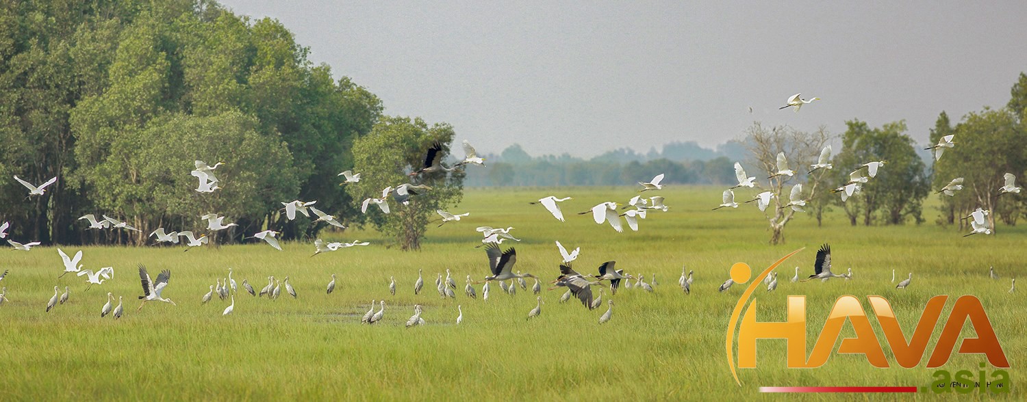 . Phương án tối ưu cho lộ trình IPO hiệu quả nhất