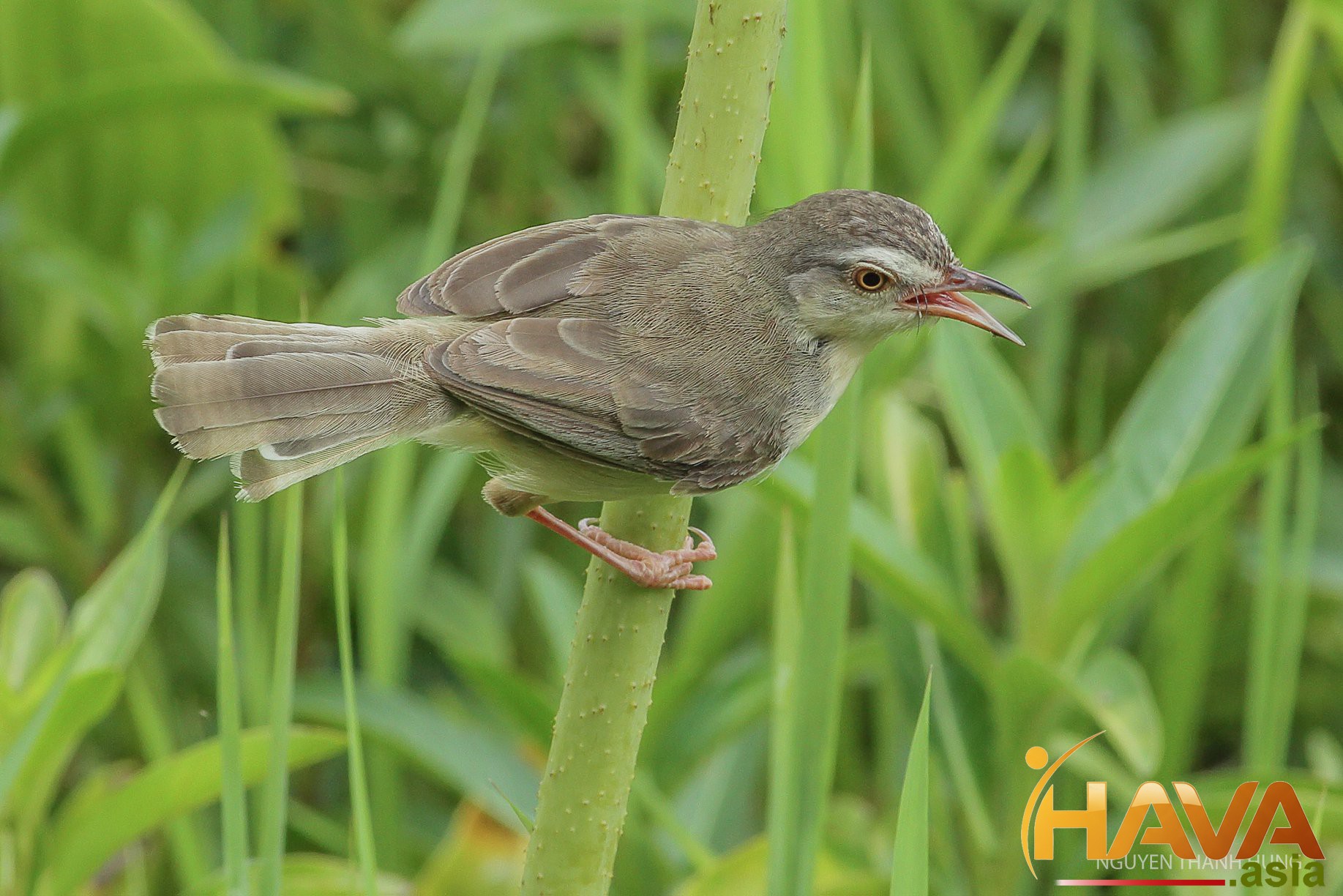 Thiết kế lộ trình tài chính "nhẹ ký"