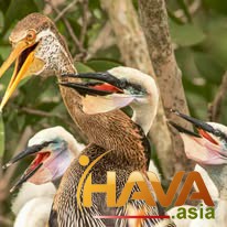 Ai gồng gánh cho tương lai con bạn?