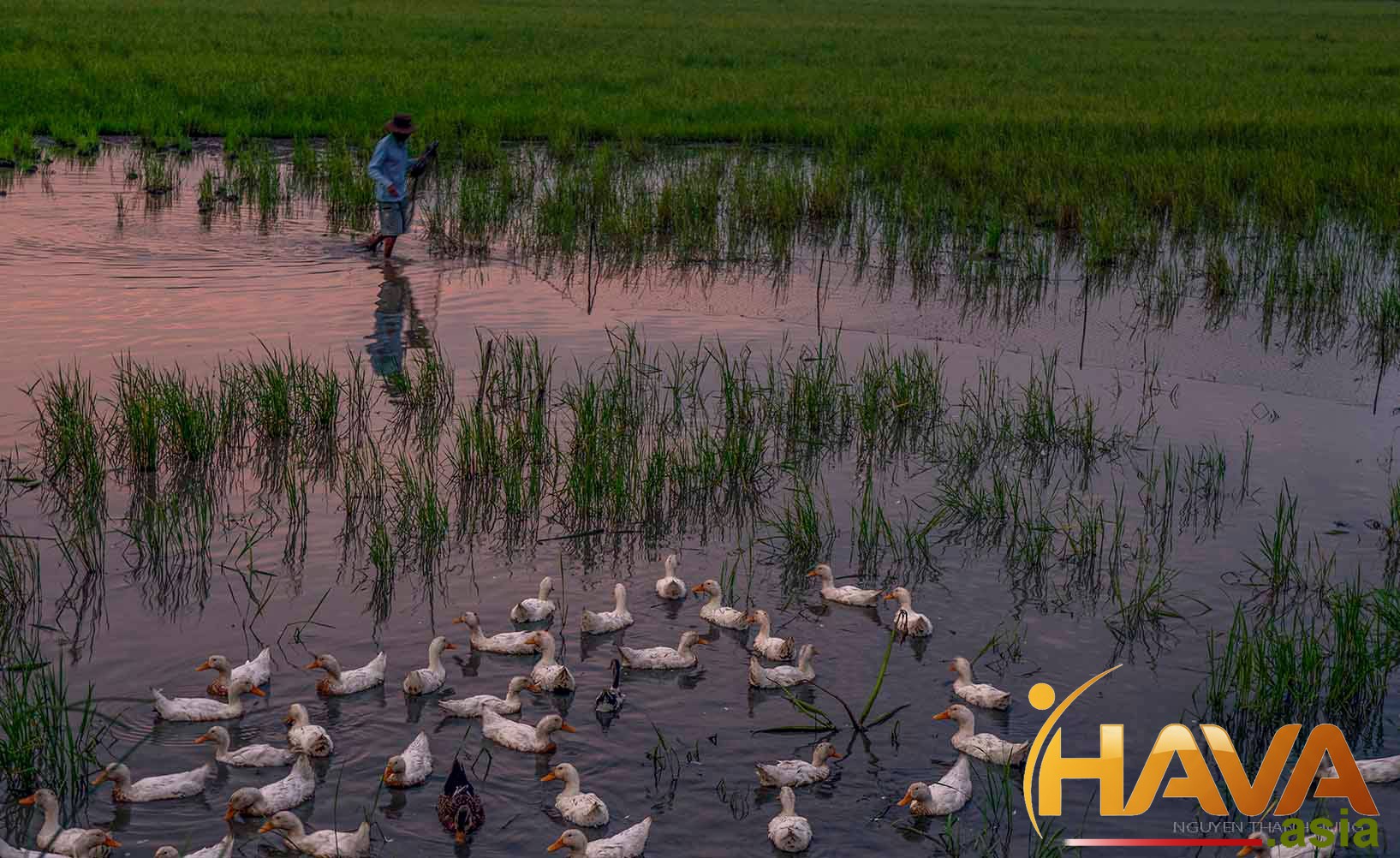 Phương án tối ưu cho từng trường hợp thực chiến
