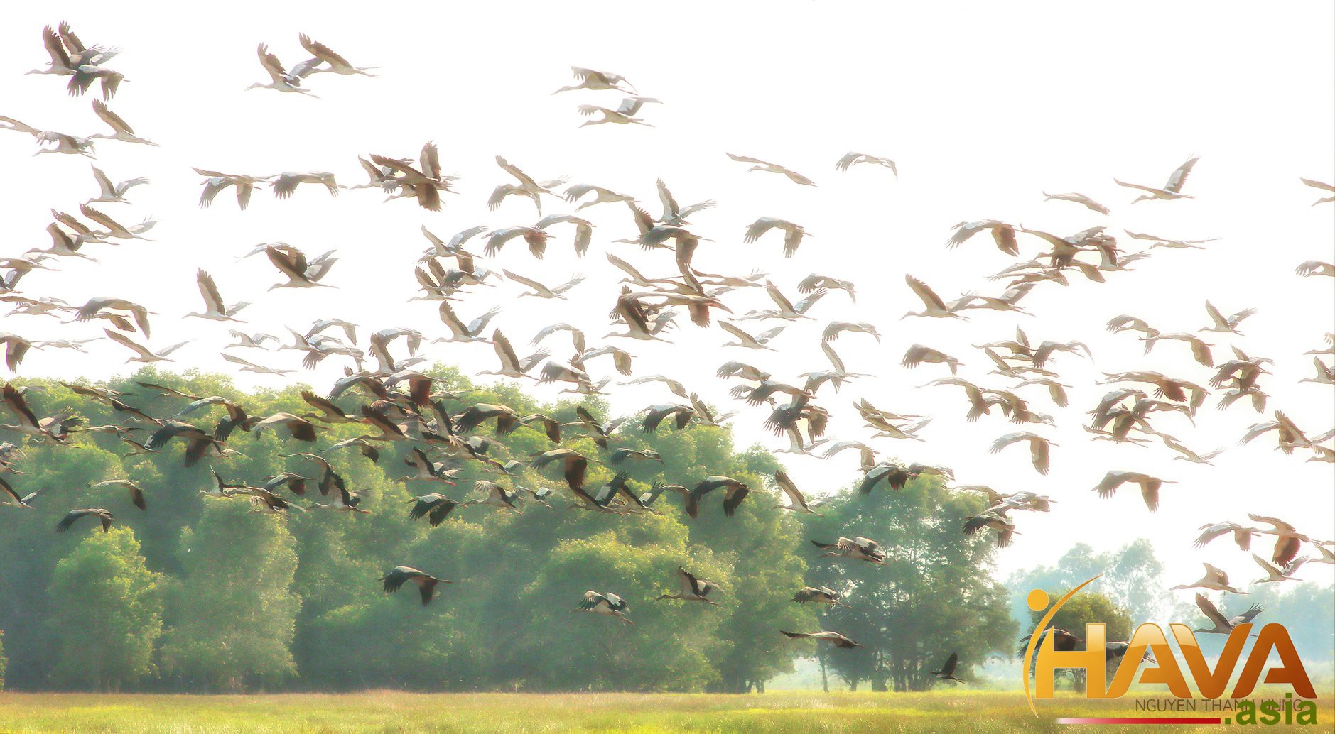 Phương án tối ưu cho từng trường hợp thực chiến