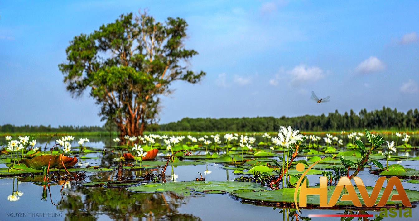 Hava Asia – Kiến trúc sư cho những cấu trúc vốn thượng tầng